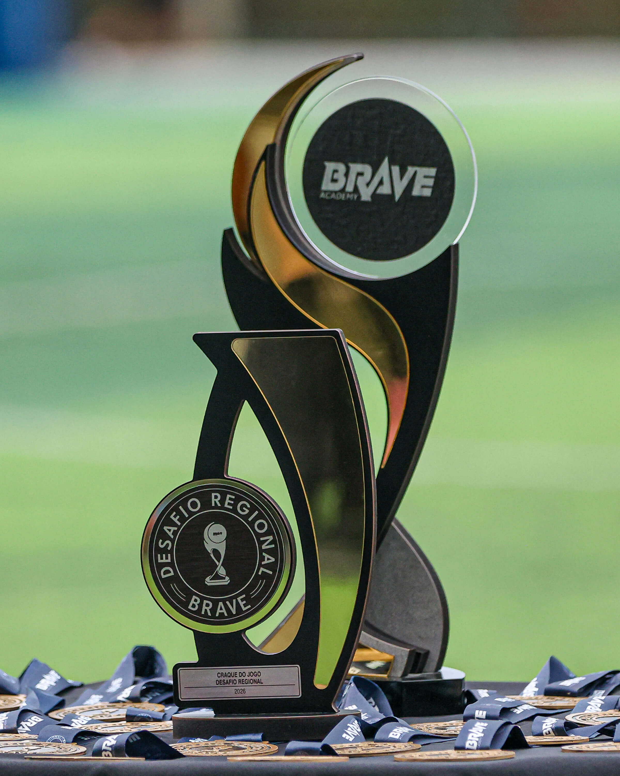 Brave Academy - Galeria